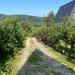 Cabane A frame + Teren 6000 mp |  Proprietate deosebita, NOU